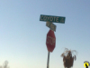 Coyote Street